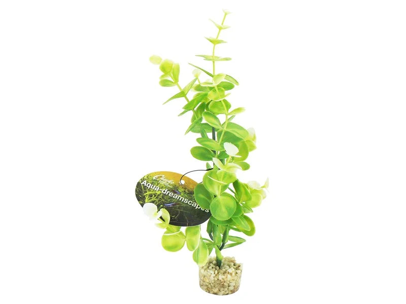 ADS OCEAN EUCALYPTUS 22CM