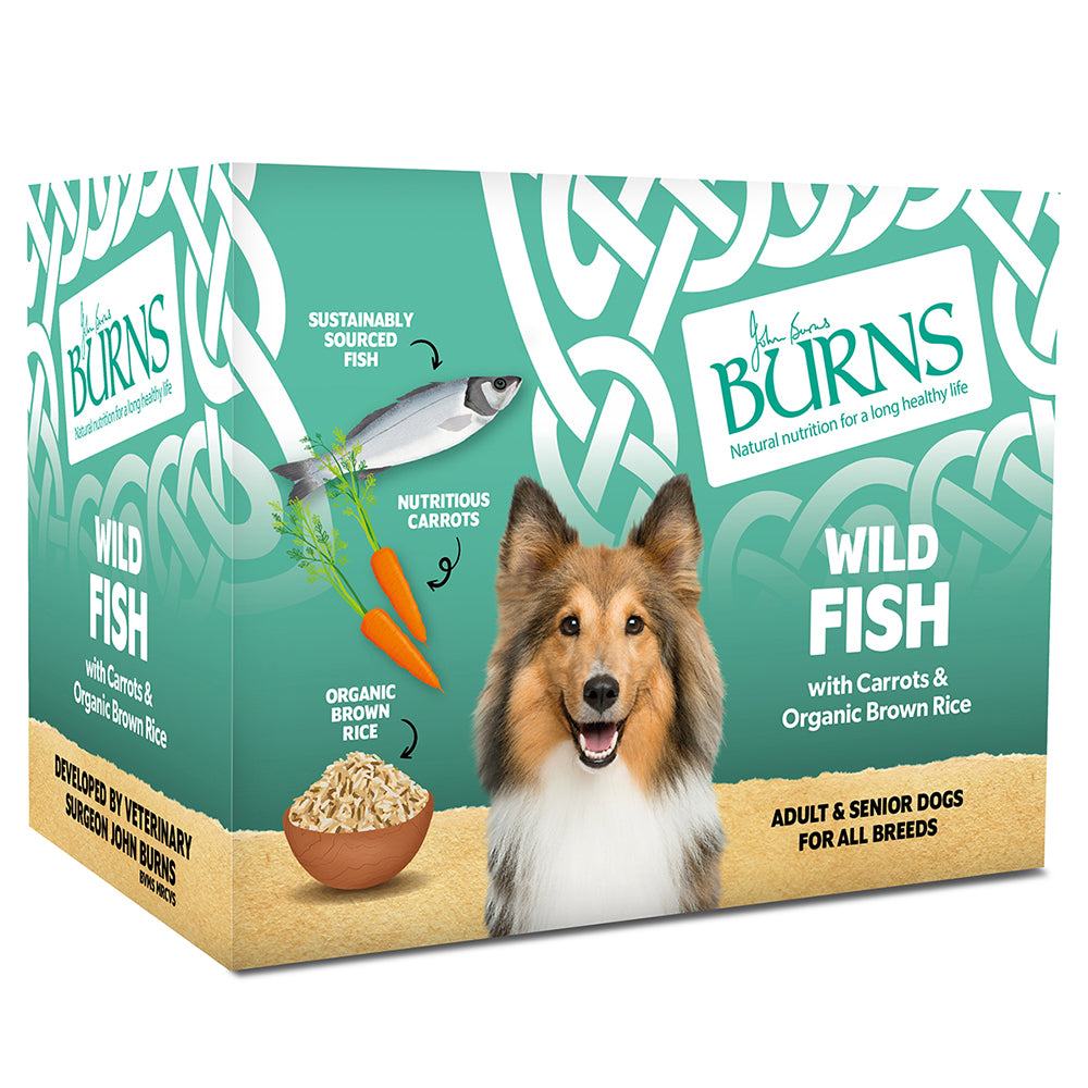 Burns Wet Food Fish, vegetables and Rice 6x395g