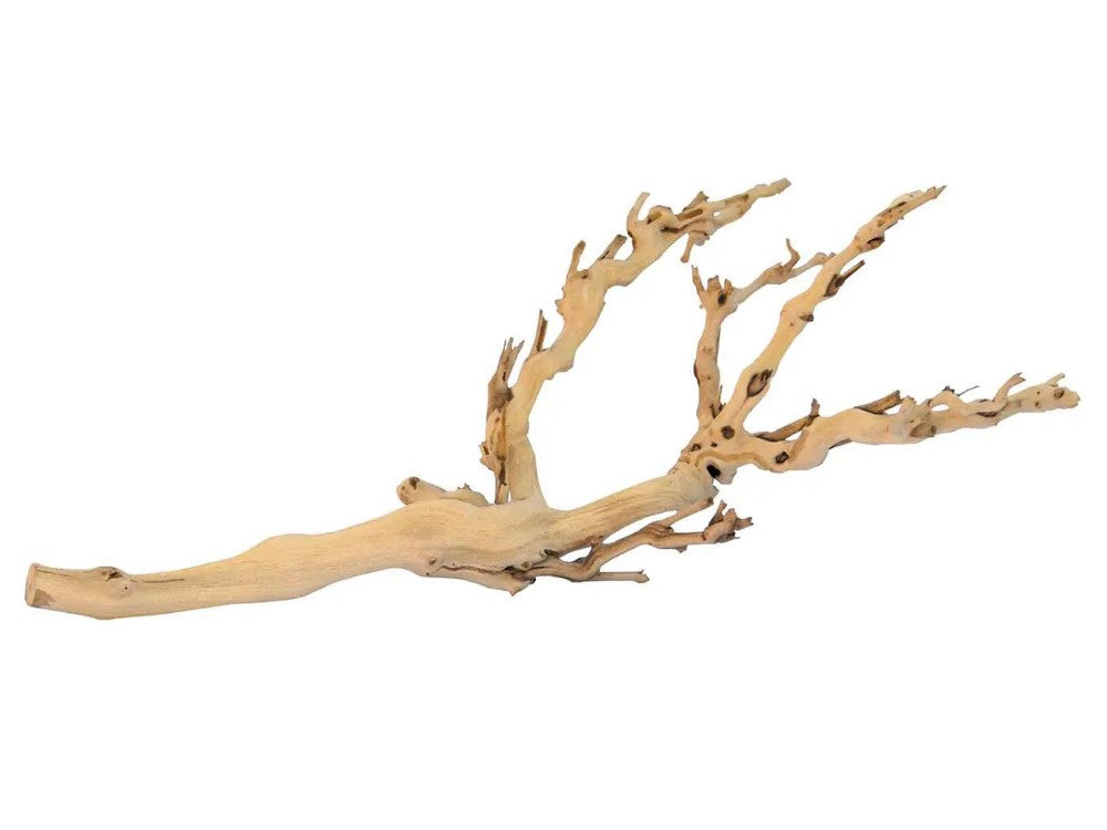 EXO TERRA FOREST BRANCH MED 45CM