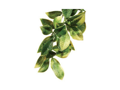 EXO TERRA PLANT MED MANDARIN