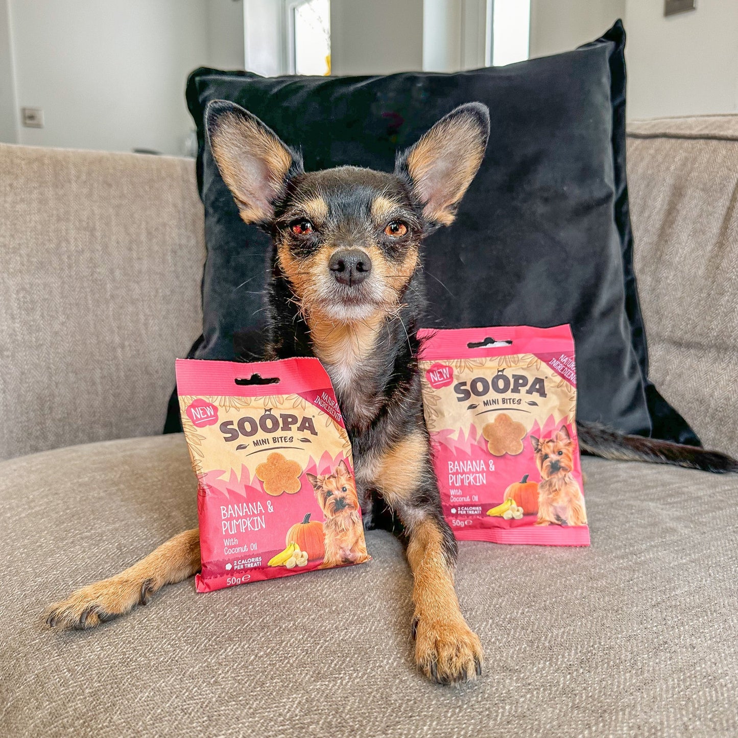 Banana & Pumpkin Healthy Bites for Mini Dogs