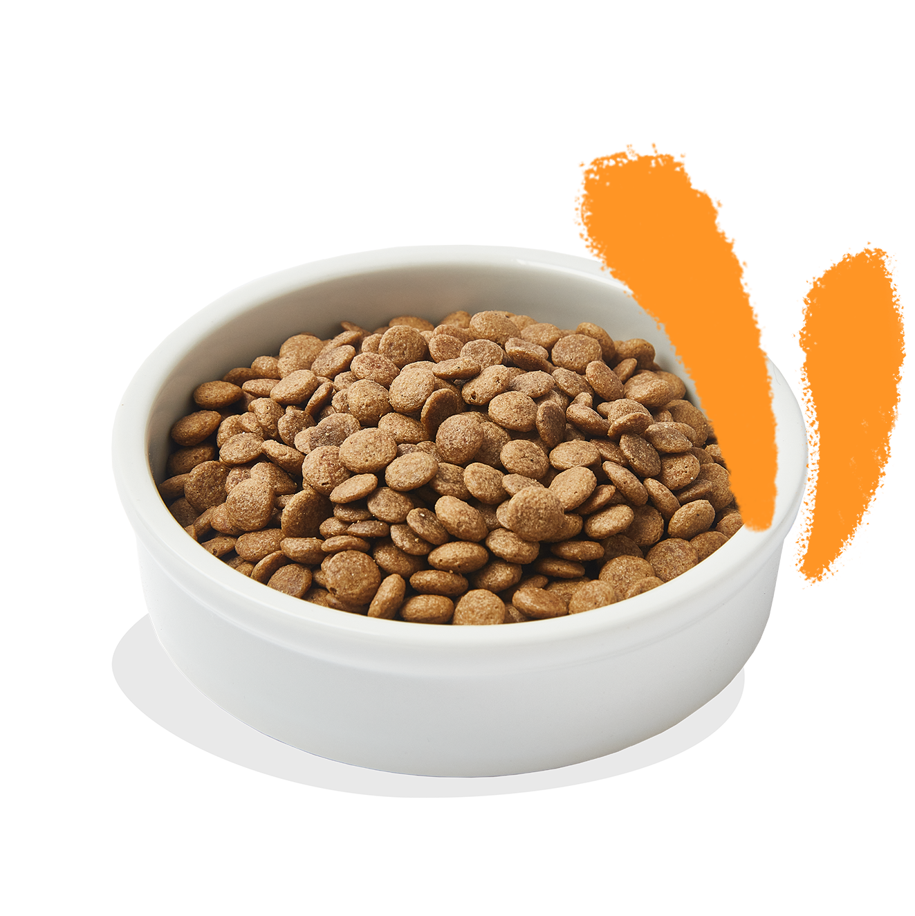 Edgard & Cooper Chicken & Turkey Senior 2kg