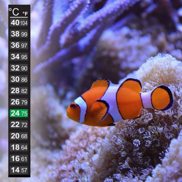 LCD DIGITAL AQUARIUM THERMOMETER