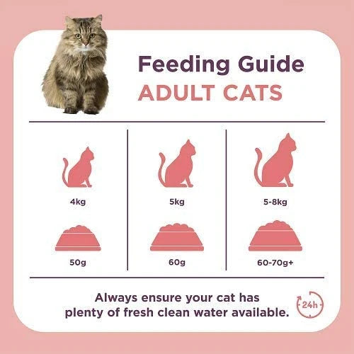 BURGESS CAT ADULT SCOTTISH SALMON 1.5KG