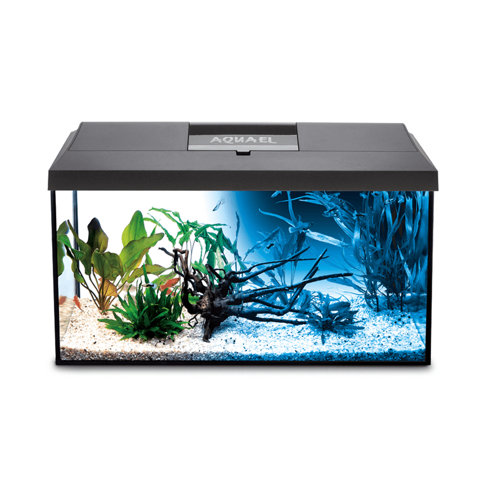LEDDY BLACK TROPICAL AQUARIUM 60CM 54LT