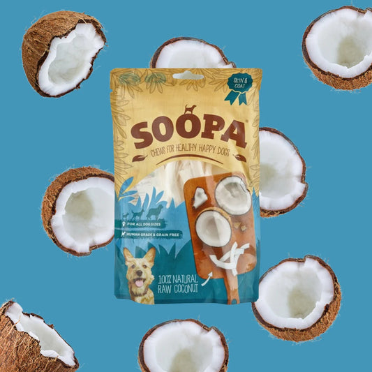 Natural Coconut Chews