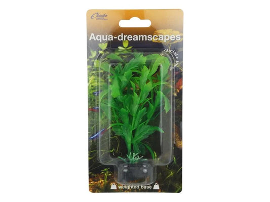 AQUA DREAMSCAPES WATER HYSSOP 8"/20CM
