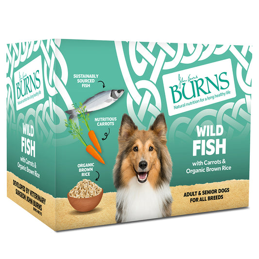 Burns Wet Food Fish, vegetables and Rice 6x395g