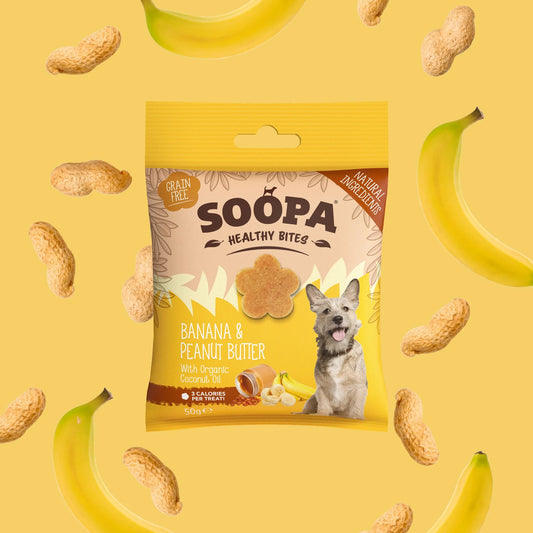 Banana & Peanut Butter Healthy Bites