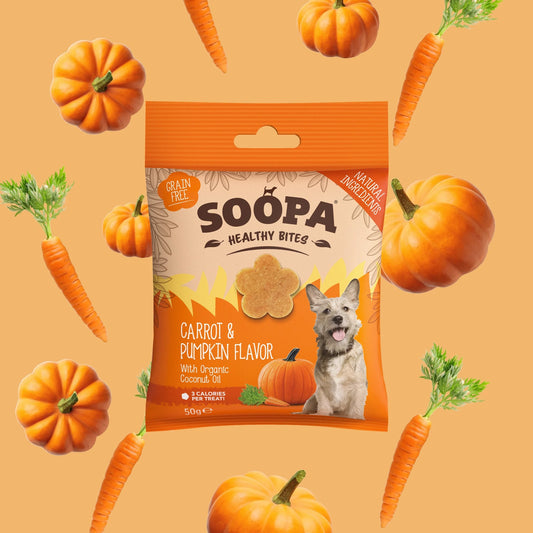 Carrot & Pumpkin Healthy Bites