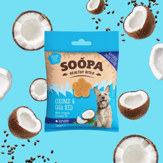 Coconut & Chia Seed Healthy Bites