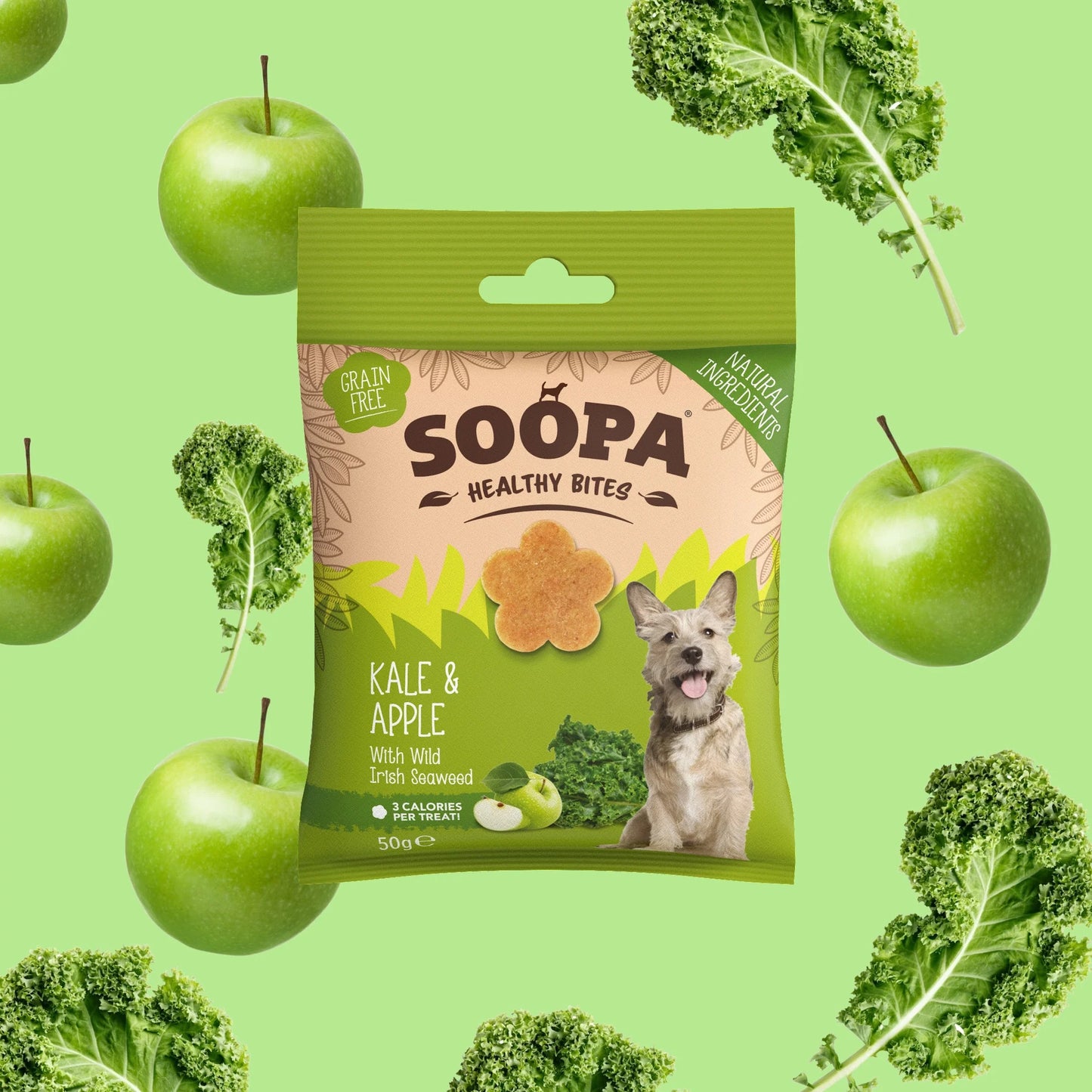 Kale & Apple Healthy Bites