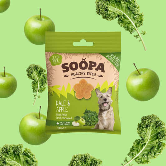 Kale & Apple Healthy Bites