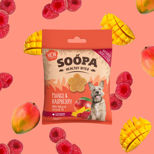 Mango & Raspberry Healthy Bites