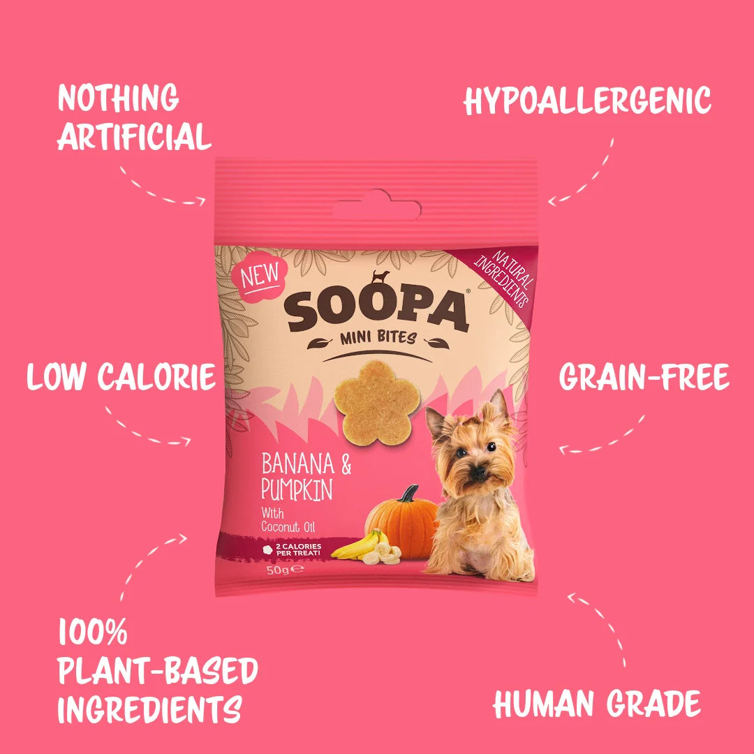 Banana & Pumpkin Healthy Bites for Mini Dogs