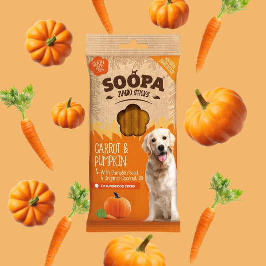 Carrot & Pumpkin Jumbo Dental Stick