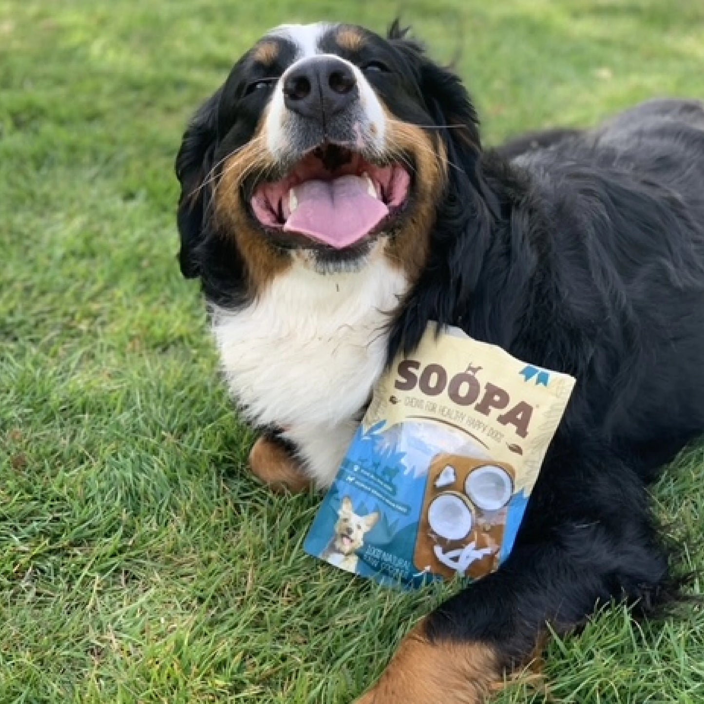 Natural Coconut Chews
