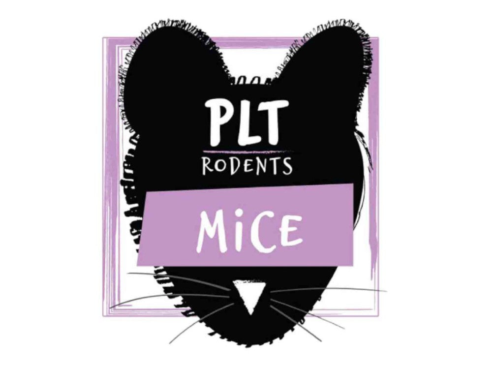 PLT FROZEN MICE PINKIES 1G