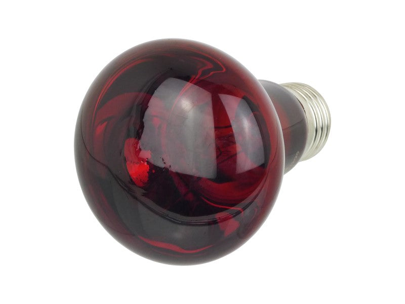 PR RED NIGHT SPOTLAMP 60W ES (SCREW IN)