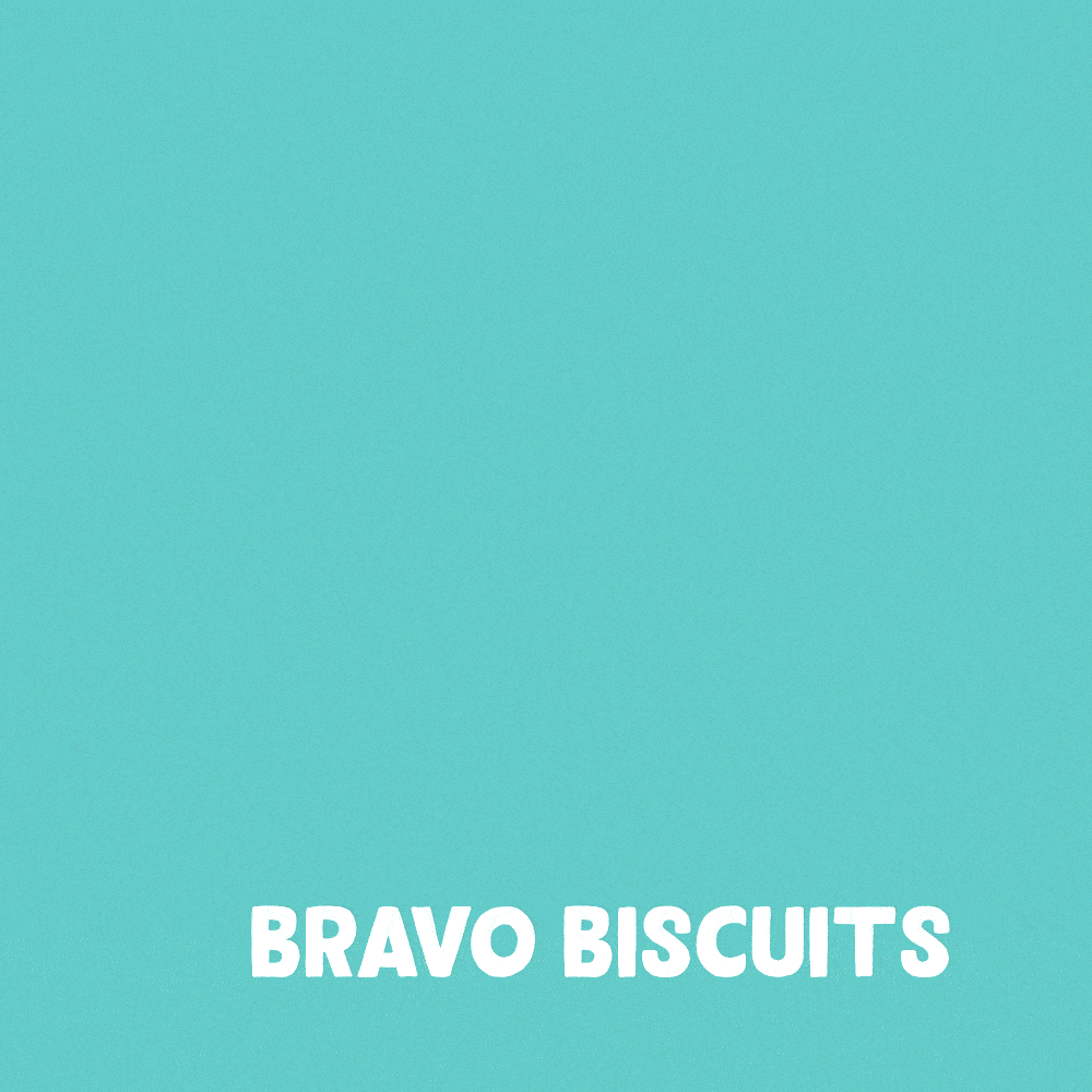 Edgard & Cooper Dog Biscuits Salmon