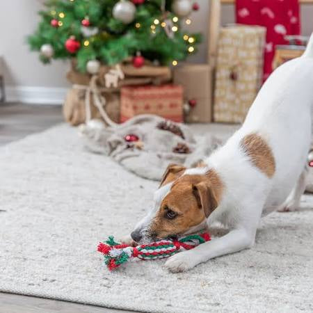 Christmas Playing Rope Toy