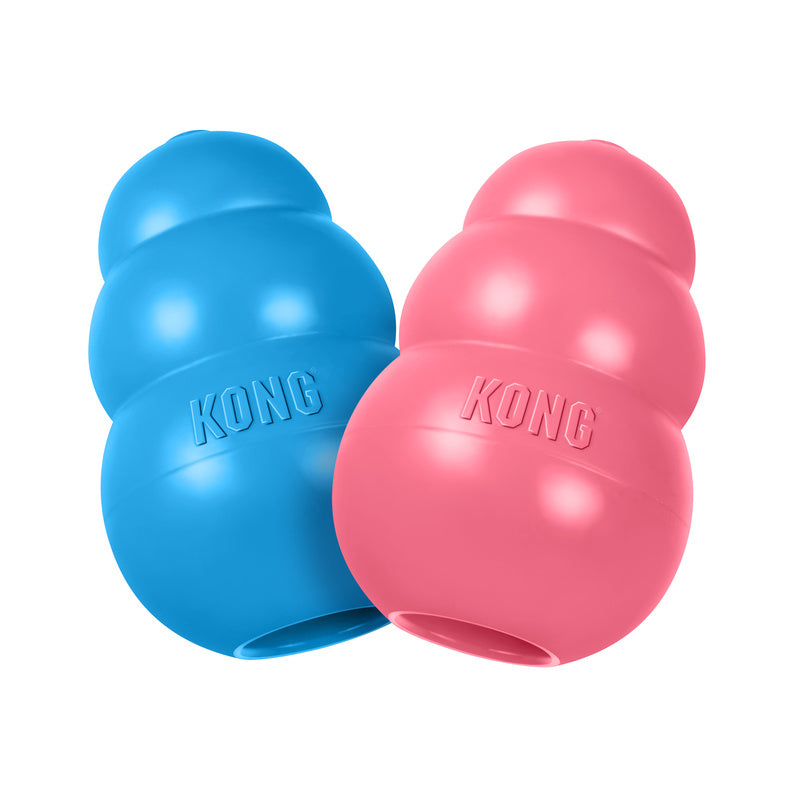 KONG Puppy SM