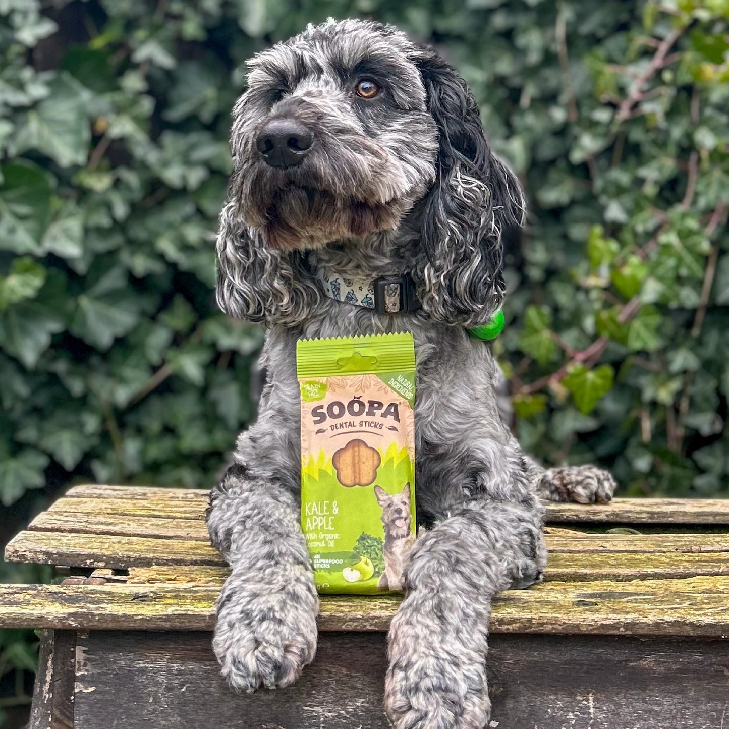 Kale & Apple Dental Sticks