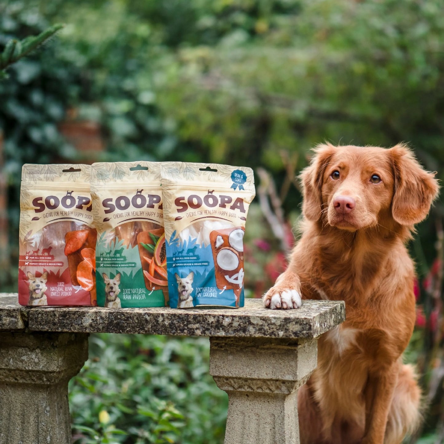 Natural Coconut Chews
