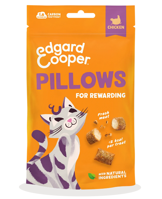 Edgard Cooper Cat Chicken Pillows