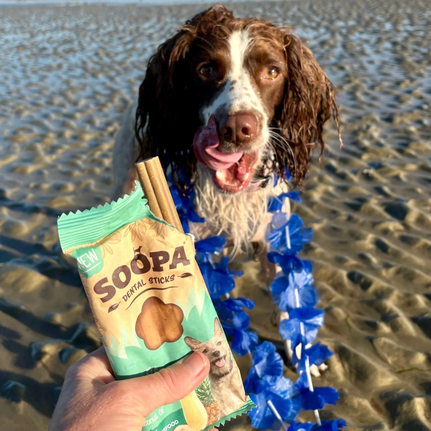 Paw-Na Colada Dental Sticks