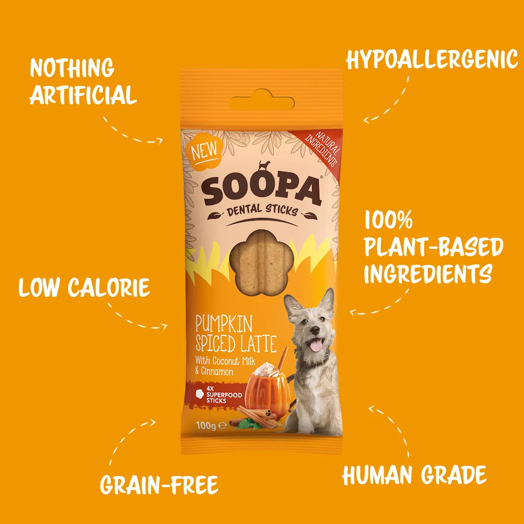 Pumpkin Spiced Latte Dental Stick