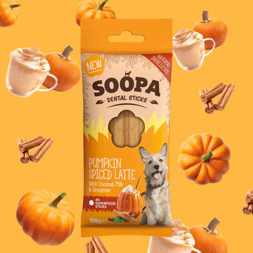 Pumpkin Spiced Latte Dental Stick