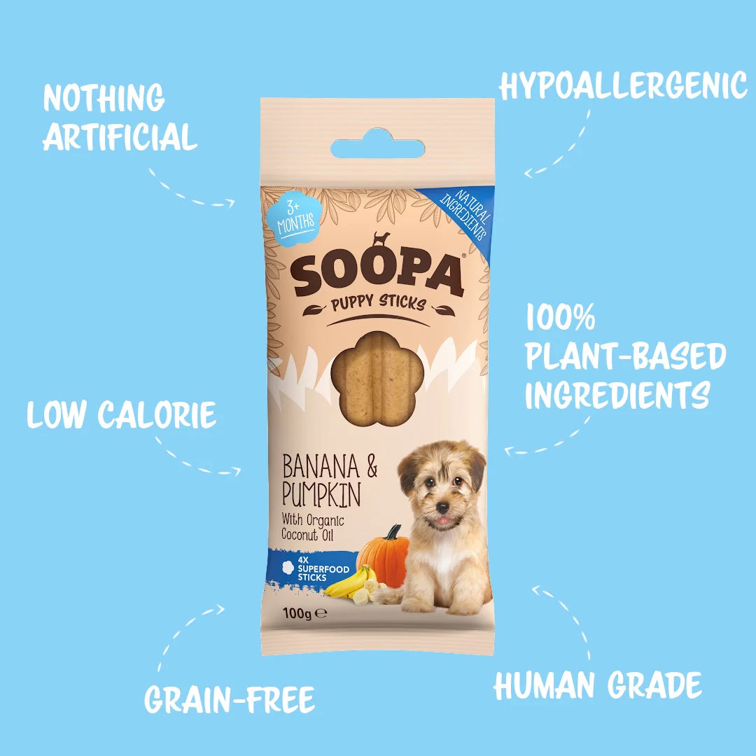 Banana & Pumpkin Dental Sticks for Puppies