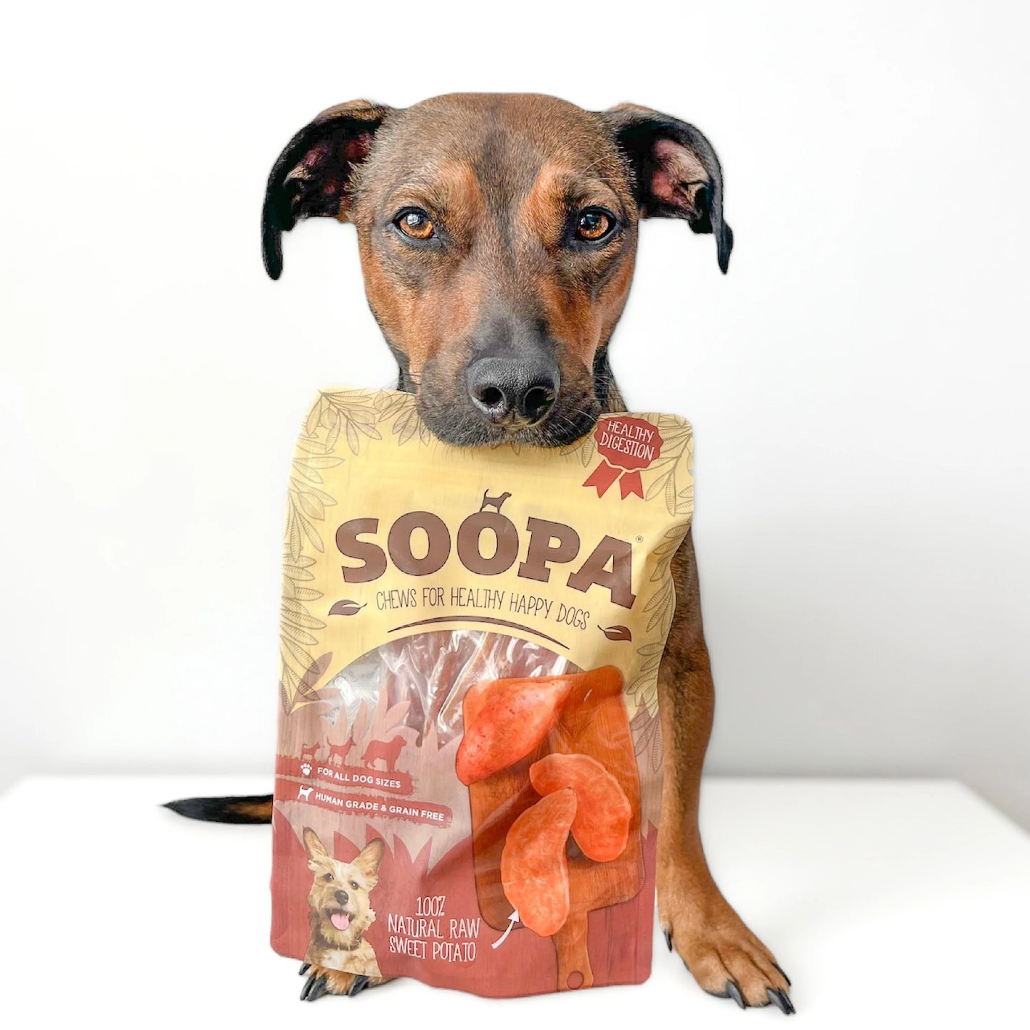 Natural Sweet Potato Chews