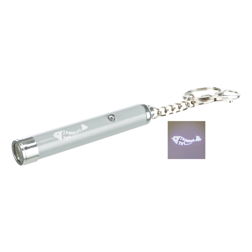 Catch the Light LED Pointer