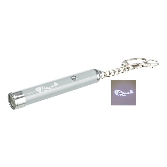 Catch the Light LED Pointer