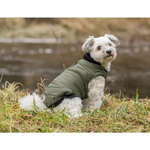 Arlay Coat